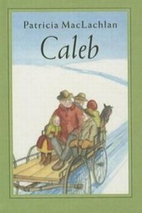 Enlarge image Cover: Caleb's Story - Perfection Learning