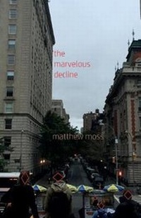 Enlarge image Cover: The Marvelous Decline - Matthew Moss