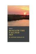 Cover: Beneath the Vaulted Sky - Anthony Morales