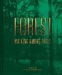 Cover: Forest - Pavilion