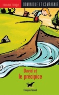 Cover: David et le precipice - Dominique et compagnie