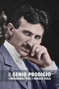 Cover: Il Genio Prodigio - Discovery Publisher