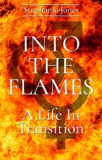 Enlarge image Cover: Into The Flames - Matador