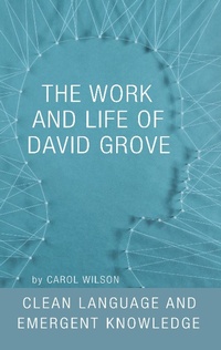 Enlarge image Cover: The Work and Life of David Grove - Matador