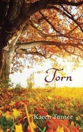 Cover: Torn - Karen Turner
