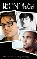Cover: Mix 'n' Match - Wayward Ink Publishing