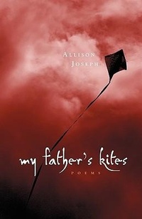 Enlarge image Cover: My Father's Kites - Steel Toe Books