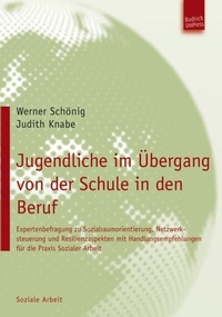 Abbildung von: Jugendliche im Übergang von der Schule in den Beruf - Budrich UniPress