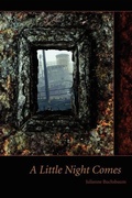 Cover: A Little Night Comes - Web del Sol Association