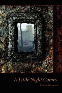 Enlarge image Cover: A Little Night Comes - Web del Sol Association