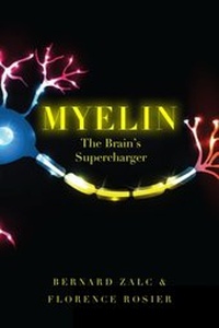 Abbildung von: Myelin - OUP eBook