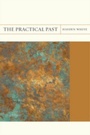 Cover: Practical Past - Northwestern University Press