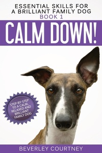 Abbildung von: Calm Down! - Quilisma Books