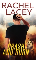 Cover: Crash and Burn - NYLA