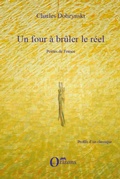 Cover: PETER ALTENBERG UNE VIE DE POETE BOHEME A VIENNE ENTRE 1859 - Profils d'un classique