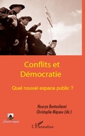 Cover: Conflits et D&eacute;mocratie - Pouvoirs compar&eacute;s