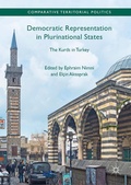 Cover: Democratic Representation in Plurinational States - Palgrave Macmillan