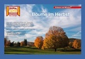 Cover: B&auml;ume im Herbst / Kamishibai Bildkarten - Hase und Igel Verlag