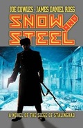 Cover: Snow and Steel - Pixel Panache