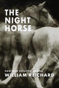 Cover: The Night Horse - Brighthorse Books