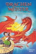 Cover: Drachenmeister Band 4 - Die Kraft des Feuerdrachen - Adrian & Wimmelbuchverlag