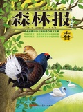 Cover: Forest Report*Spring - CHISO