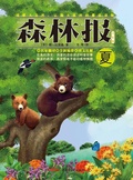Cover: Forest Report*Summer - CHISO