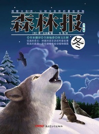 Enlarge image Cover: Forest Report*Winter - CHISO