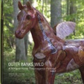 Cover: Outer Banks Wild: v. 3 - Outer Banks Press