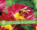 Cover: Let's Look at Summer - Raintree