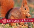 Cover: Let's Look at Autumn - Raintree