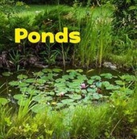 Enlarge image Cover: Ponds - Raintree