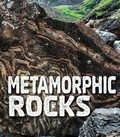 Cover: Metamorphic Rocks - Raintree