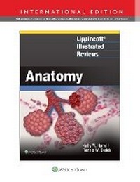 Enlarge image Cover: Lippincott (R) Illustrated Reviews: Anatomy - Lippincott Williams and Wilkins