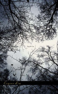 Enlarge image Cover: Fog & Car - Ellipsis Press