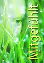 Cover: Mitgefühlt - Nova MD