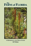 Cover: Ferns of Florida - Pineapple Press