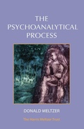 Cover: The Psychoanalytical Process - Phoenix Publishing House