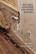 Cover: Pictures of Houses with Water Damage - Black Lawrence Press