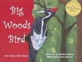 Cover: Big Woods Bird - Kury Lane Inc