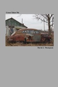 Cover: Grace Takes Me - Vegetarian Alcoholic Press