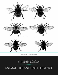 Abbildung von: Animal Life and Intelligence - Charles River Editors