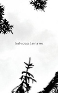 Cover: Leaf-Scraps - In the Wind Projects