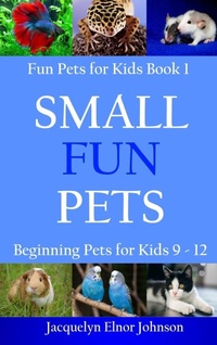 Enlarge image Cover: Small Fun Pets - Crimson Hill Books