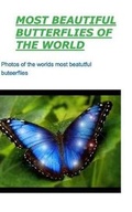 Cover: Most Beautiful Butterflies of the World - Blurb
