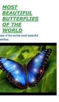 Cover: Most Beautiful Butterflies of the World - Blurb