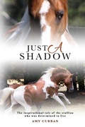 Cover: Just A Shadow - Amy Curran