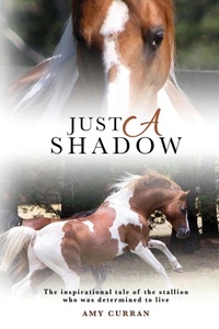 Enlarge image Cover: Just A Shadow - Amy Curran