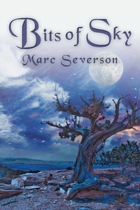 Enlarge image Cover: Bits of Sky - iUniverse