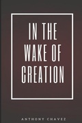 Cover: In the Wake of Creation - Independently Published